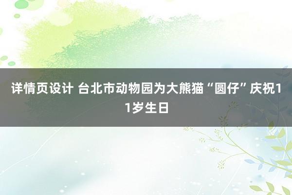 详情页设计 台北市动物园为大熊猫“圆仔”庆祝11岁生日