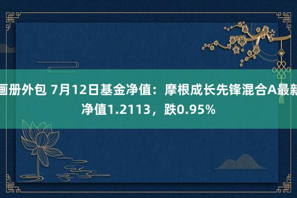 画册外包 7月12日基金净值：摩根成长先锋混合A最新净值1.2113，跌0.95%