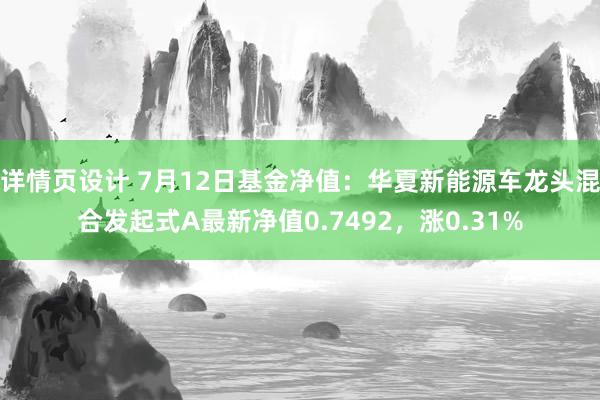 详情页设计 7月12日基金净值：华夏新能源车龙头混合发起式A最新净值0.7492，涨0.31%