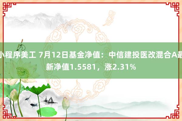 小程序美工 7月12日基金净值：中信建投医改混合A最新净值1.5581，涨2.31%