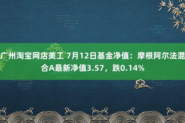 广州淘宝网店美工 7月12日基金净值：摩根阿尔法混合A最新净值3.57，跌0.14%