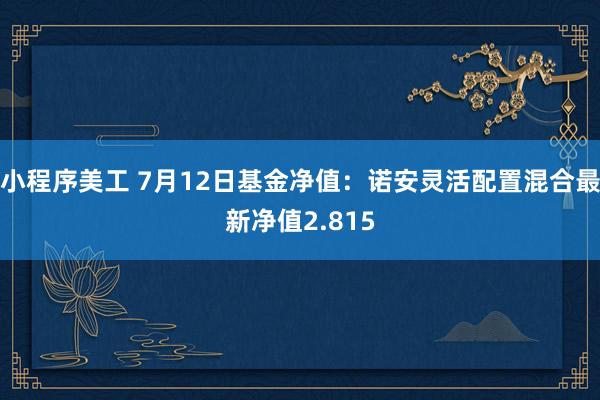 小程序美工 7月12日基金净值：诺安灵活配置混合最新净值2.815