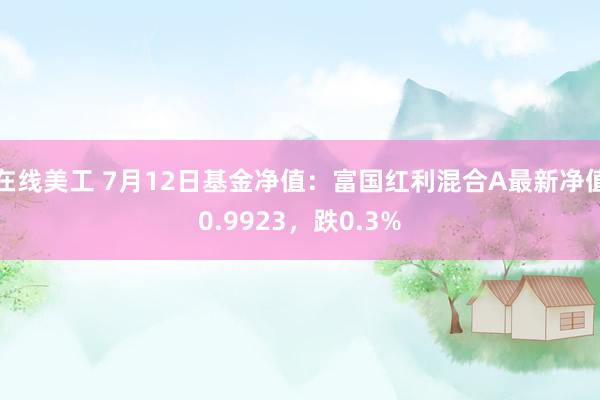 在线美工 7月12日基金净值：富国红利混合A最新净值0.9923，跌0.3%