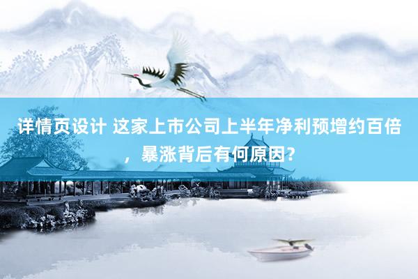 详情页设计 这家上市公司上半年净利预增约百倍，暴涨背后有何原因？