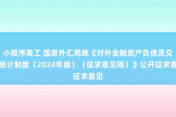 小程序美工 国家外汇局就《对外金融资产负债及交易统计制度（2024年版）（征求意见稿）》公开征求意见